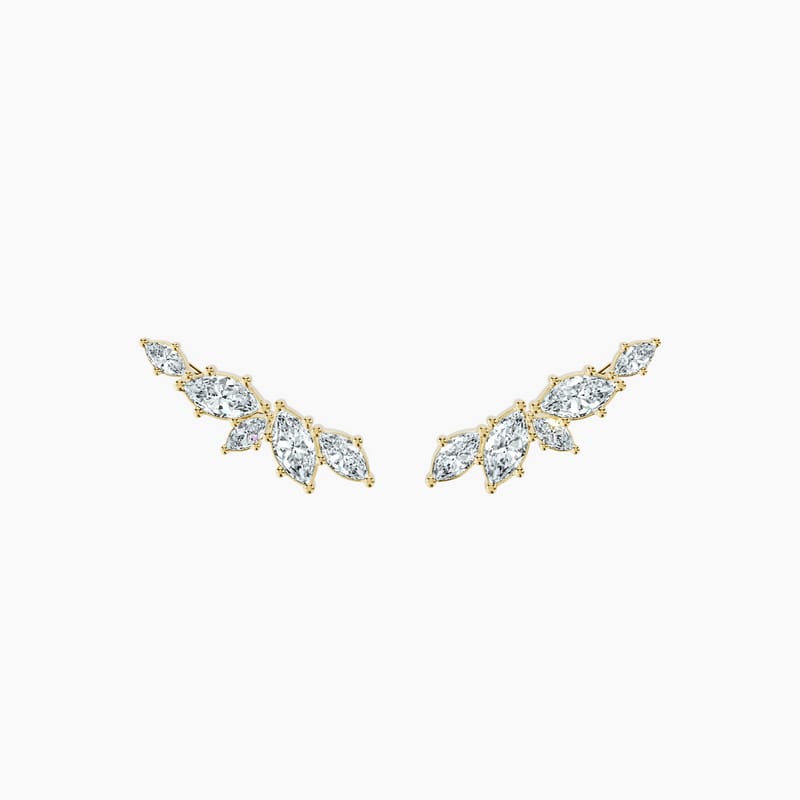 Marquise Muse Crawlers