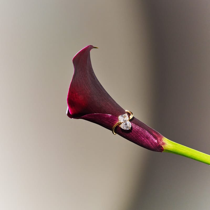 Lover’s Entwine Ring