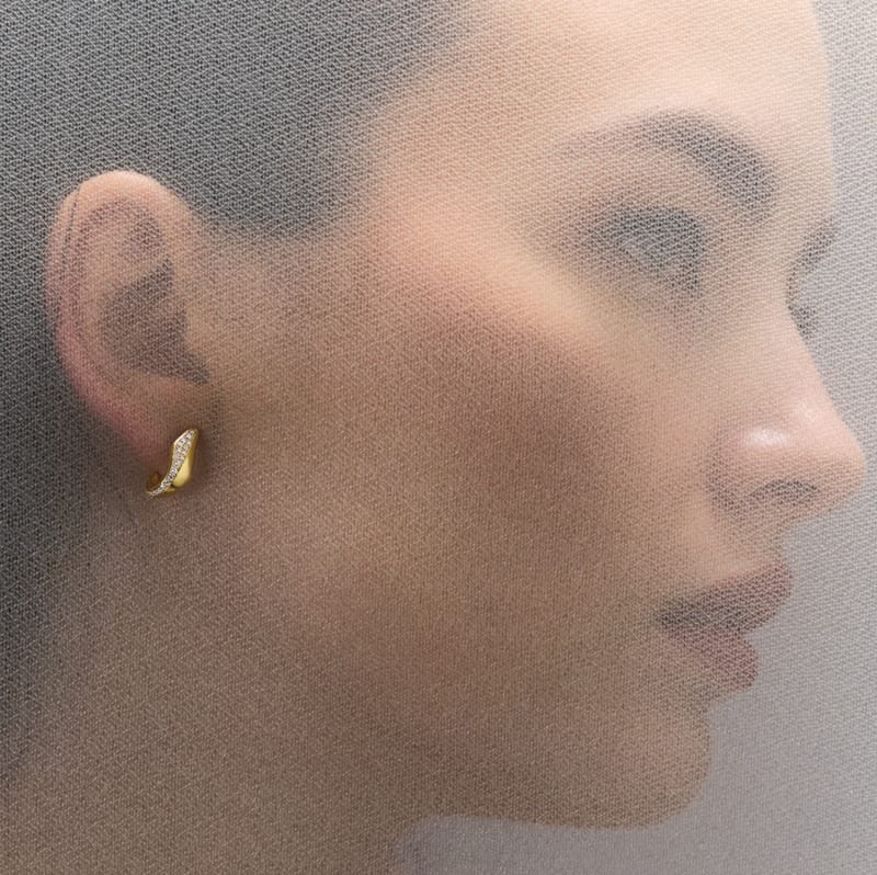 Eclipse Arc Earrings